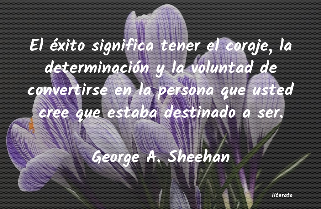 frases de George A. Sheehan
