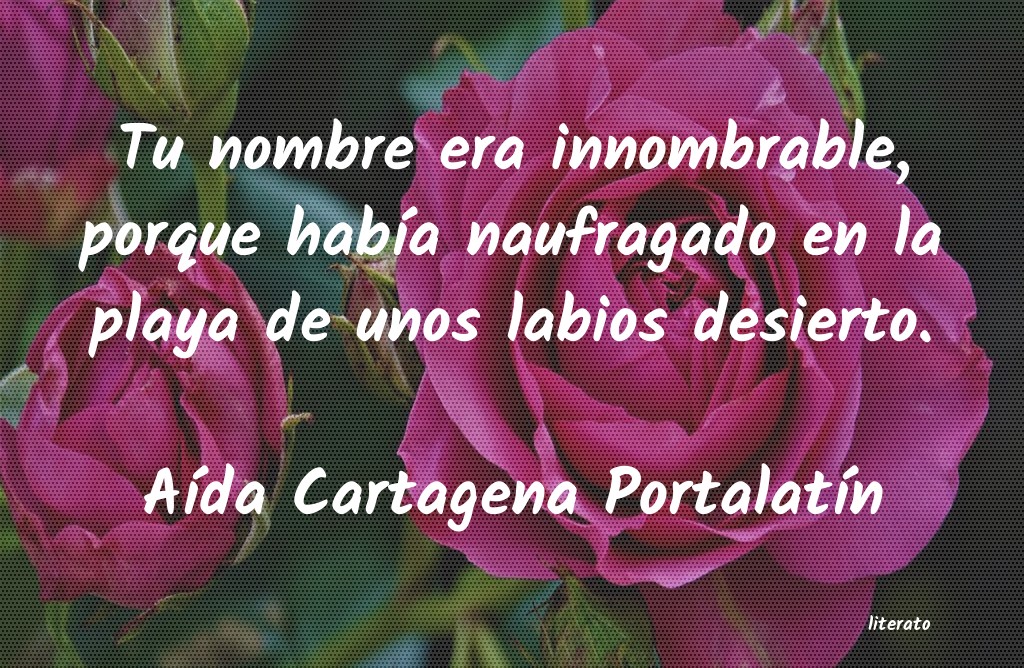 Frases de Aída Cartagena Portalatín