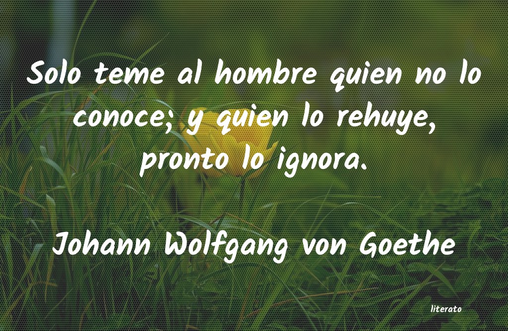 Frases de Johann Wolfgang von Goethe