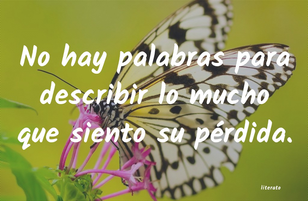 Frases de