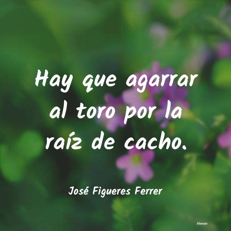 Frases de José Figueres Ferrer