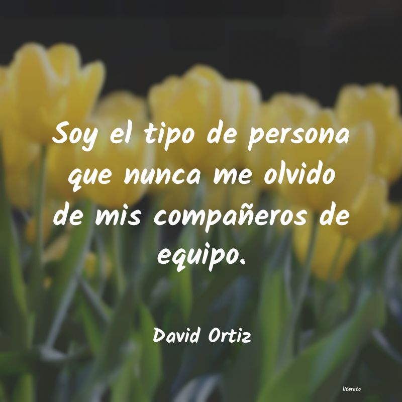 Frases de David Ortiz