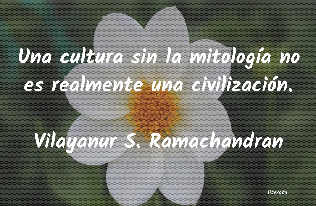 frases de Vilayanur S. Ramachandran