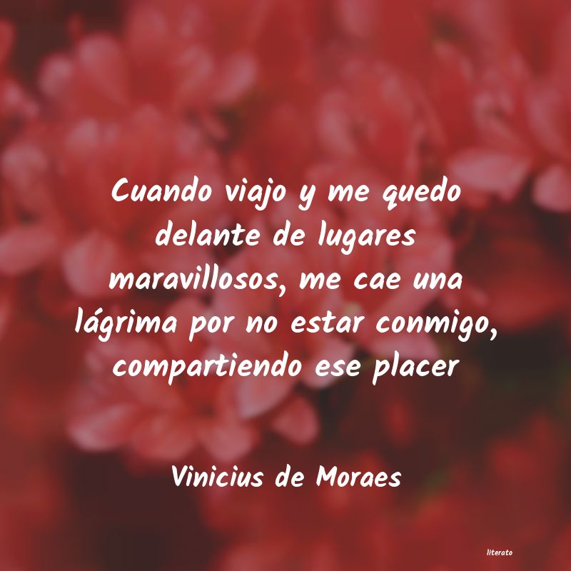 frases de Vinicius de Moraes