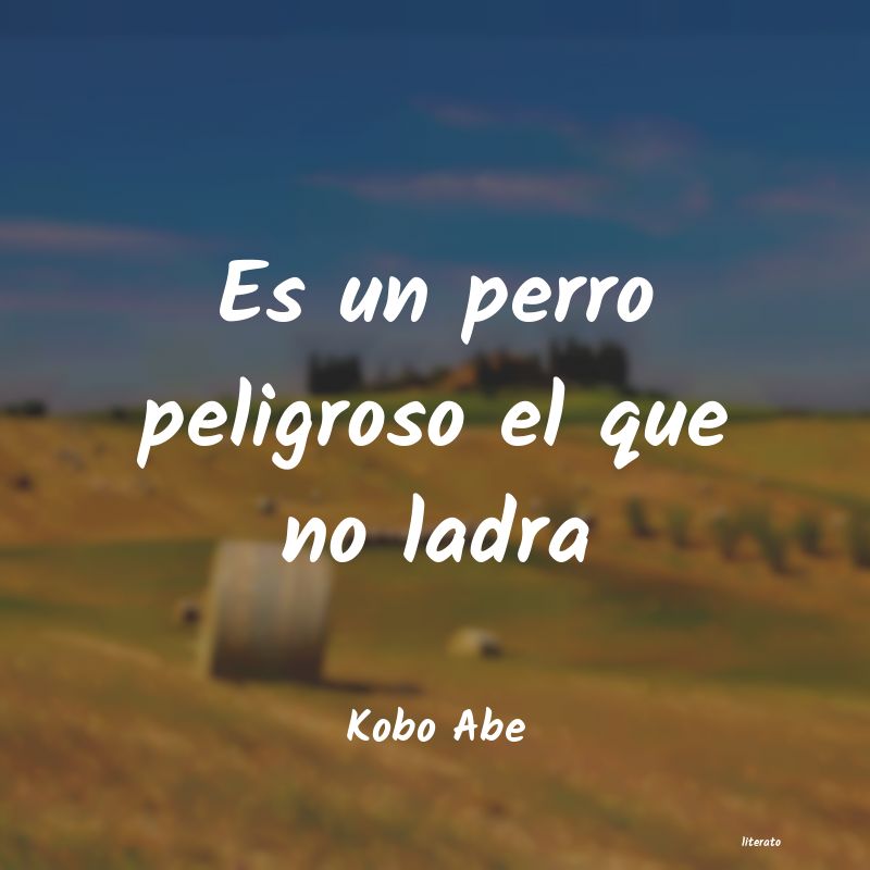 frases de Kobo Abe