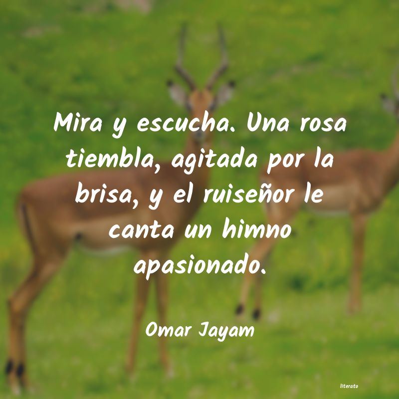 Frases de Omar Jayam