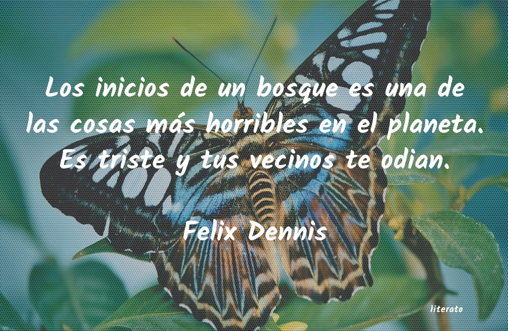 Frases de Felix Dennis