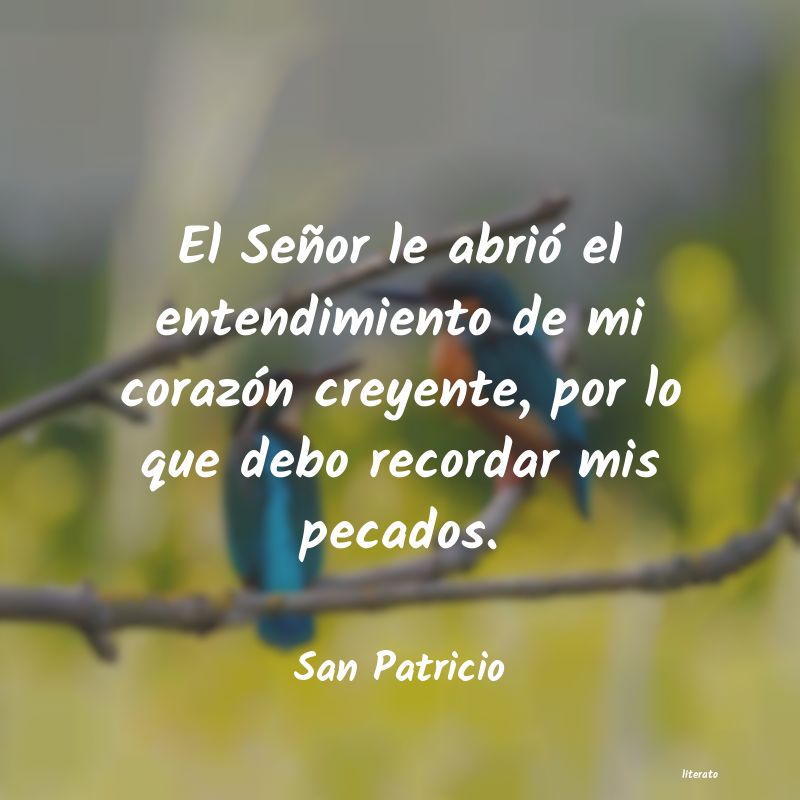 Frases de San Patricio