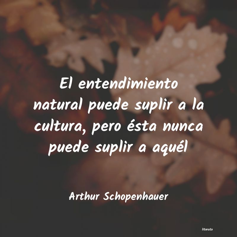 Frases de Arthur Schopenhauer