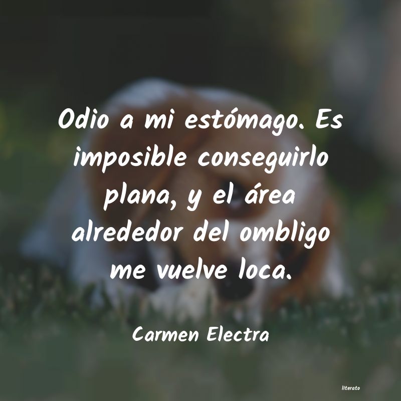 Frases de Carmen Electra - literato