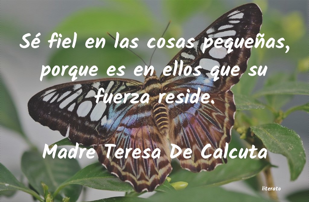 frases de la madre teresa de calcuta sobre la mujer