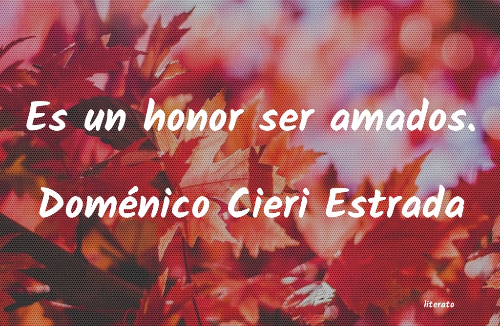 frases de DomÃ©nico Cieri Estrada