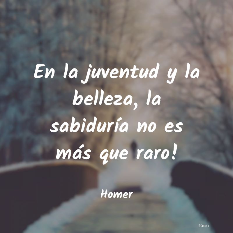 frases de Homer