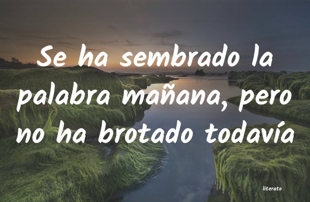 frases