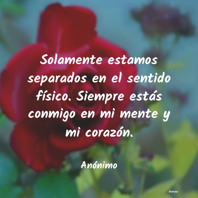 frases
