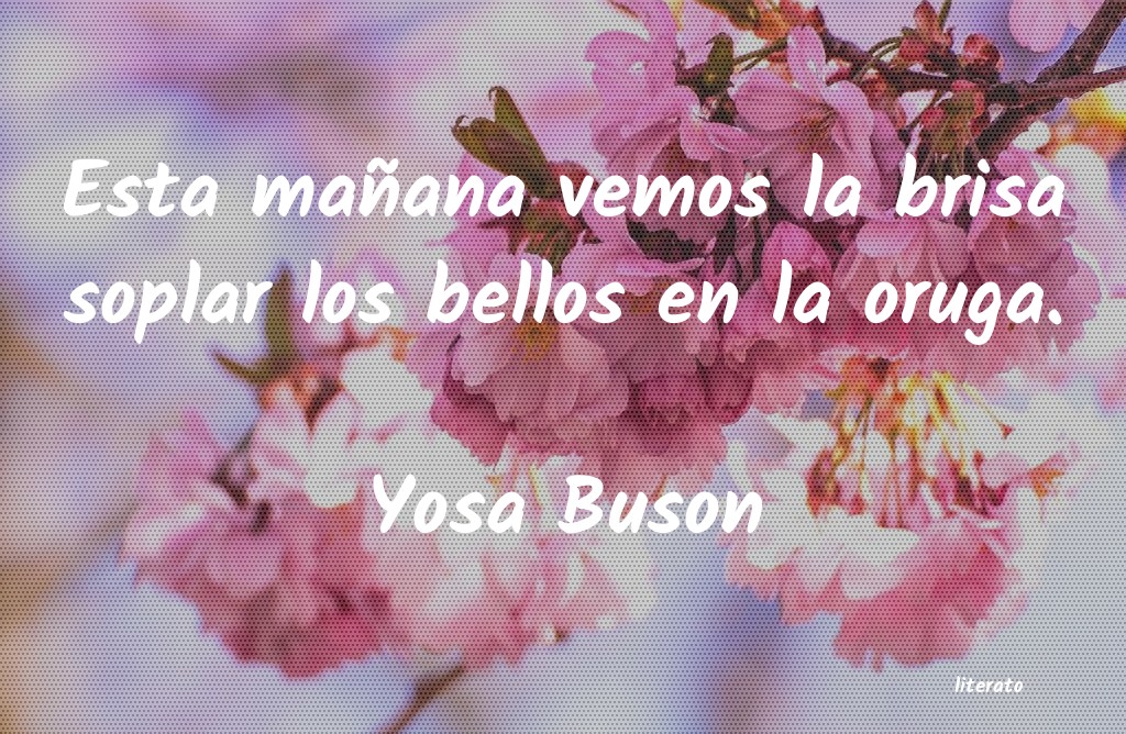 Frases de Yosa Buson