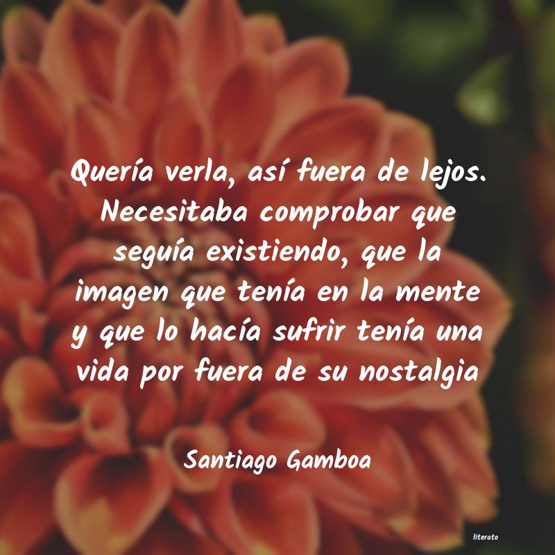 frases de Santiago Gamboa
