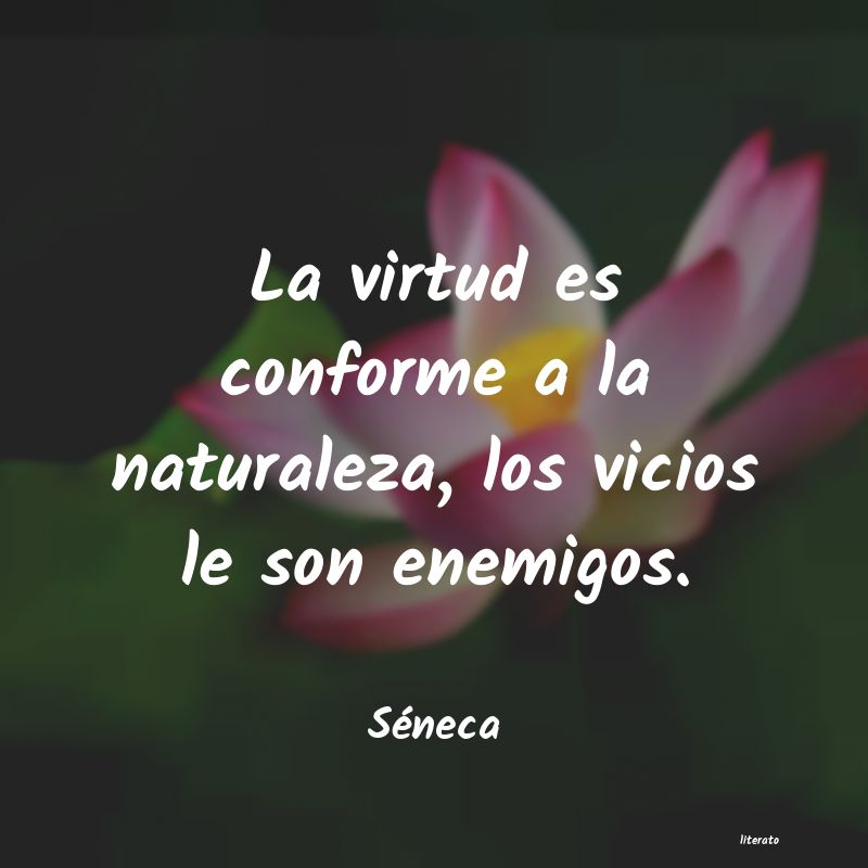 frases de Séneca