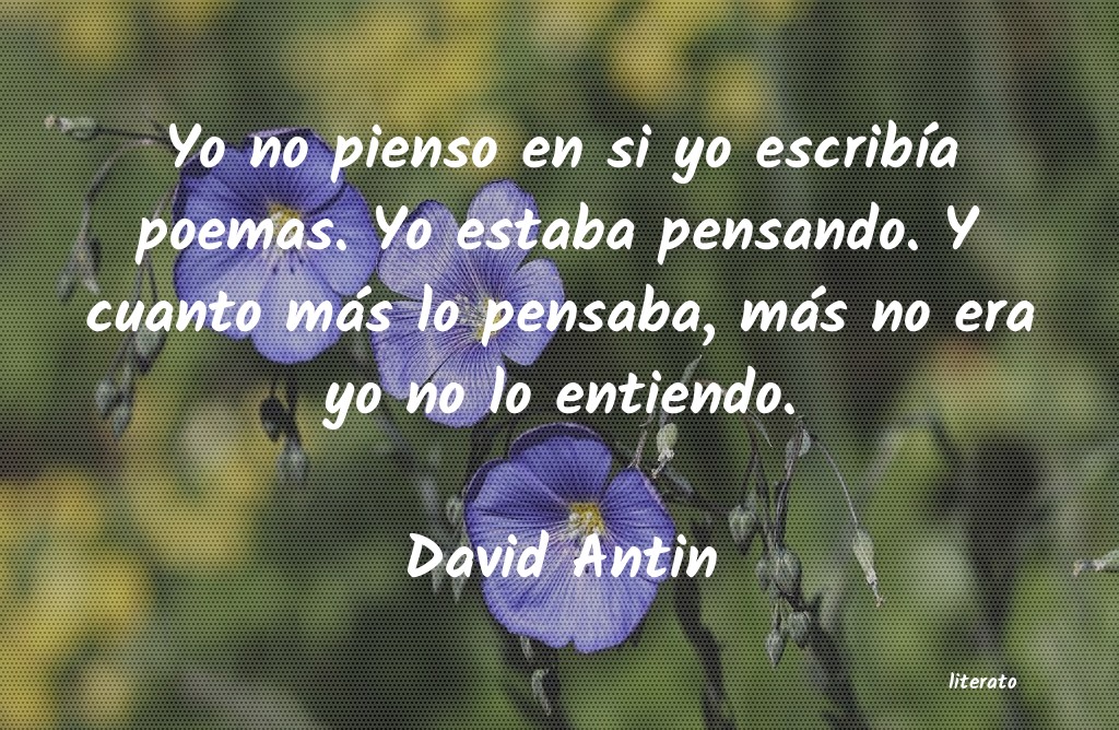 Frases de David Antin