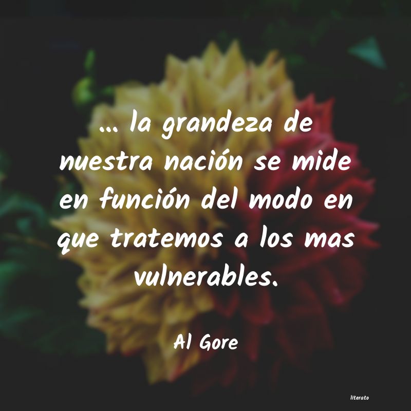 frases de Al Gore