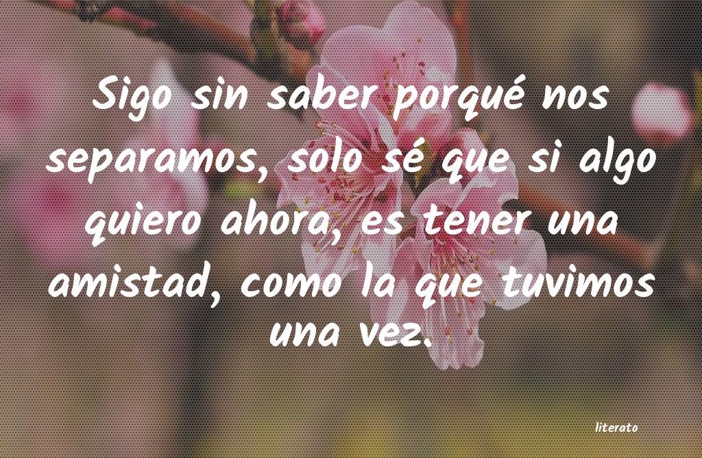 frases