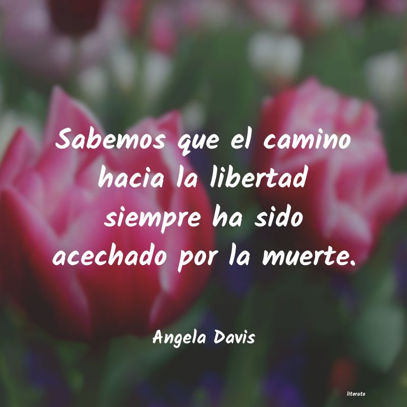 Frases de Angela Davis