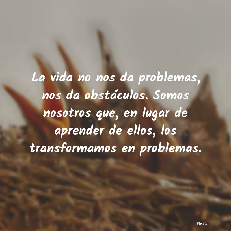 frases