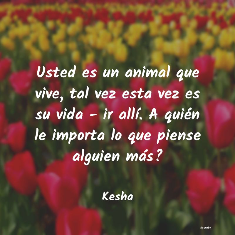 frases de Kesha
