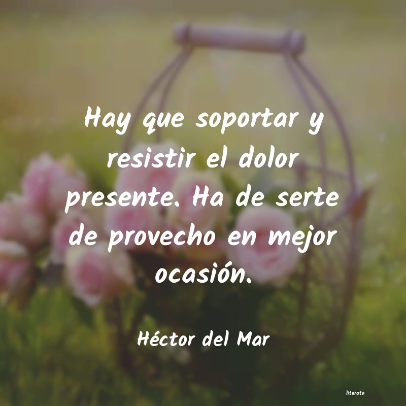 Frases de Héctor del Mar