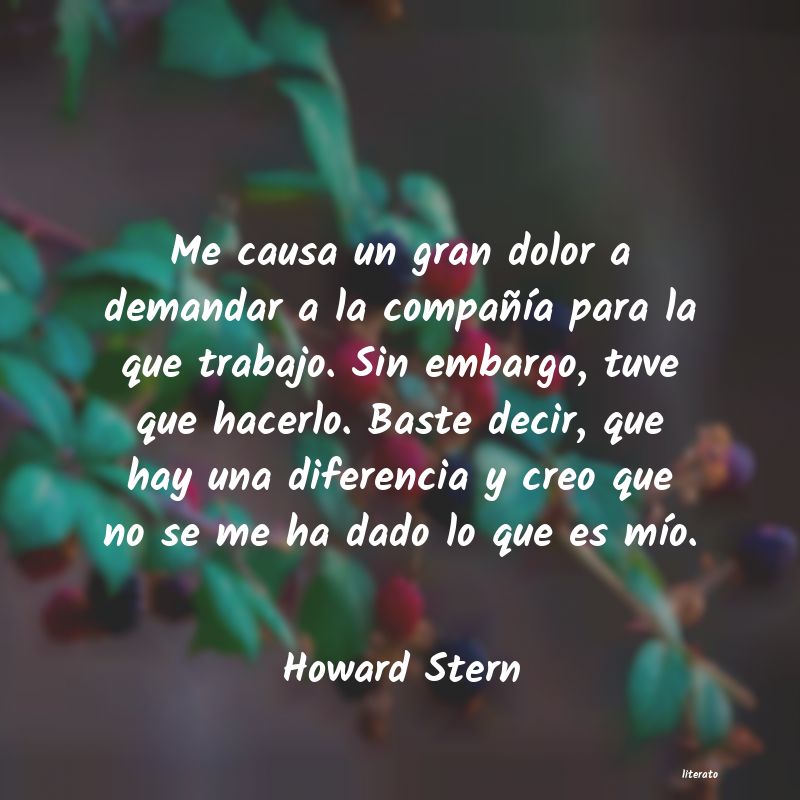 Frases de Howard Stern