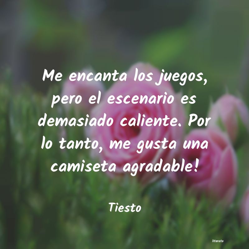 Frases de Tiesto
