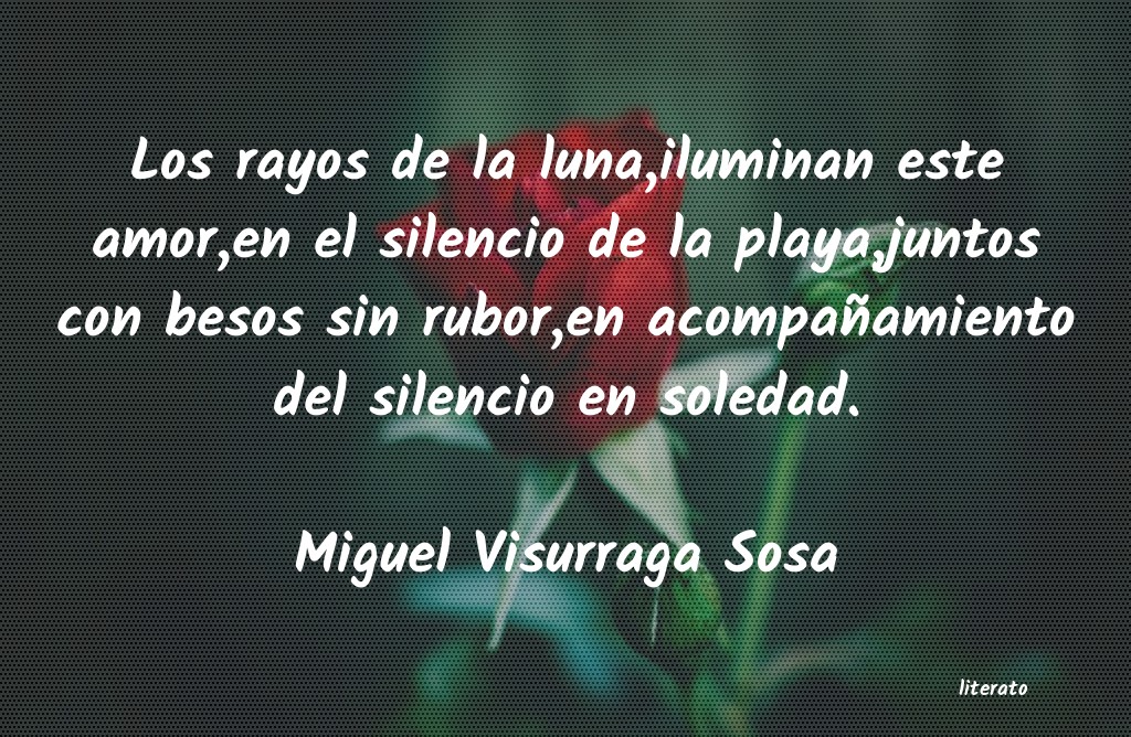 frases de Miguel Visurraga Sosa