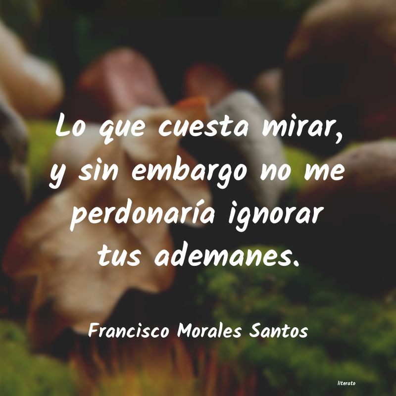 Frases de Francisco Morales Santos