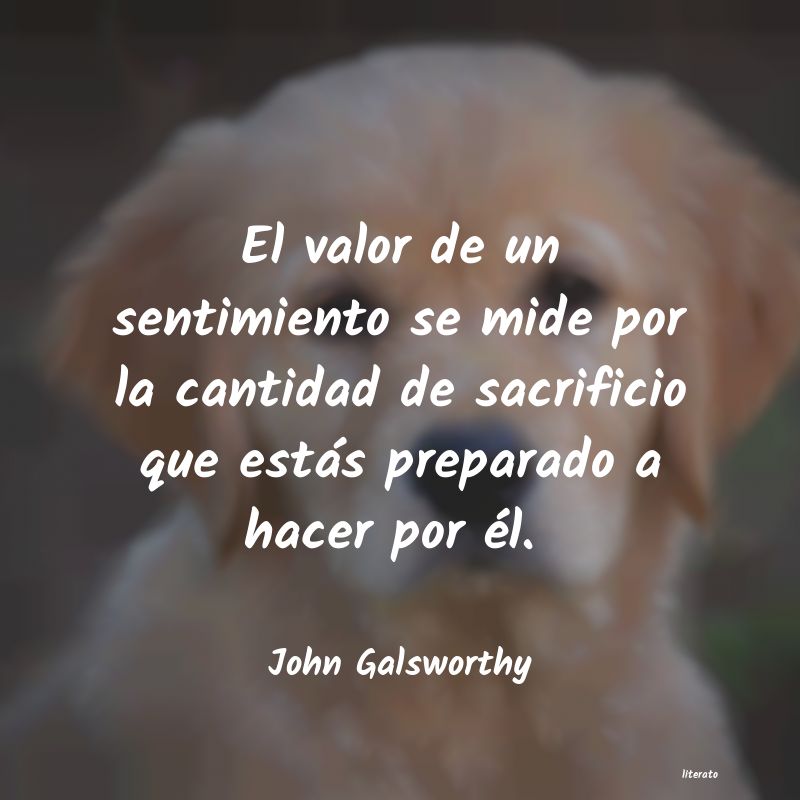 frases de John Galsworthy