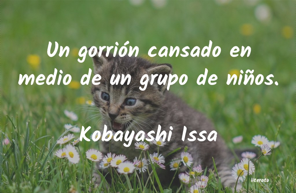 frases de Kobayashi Issa