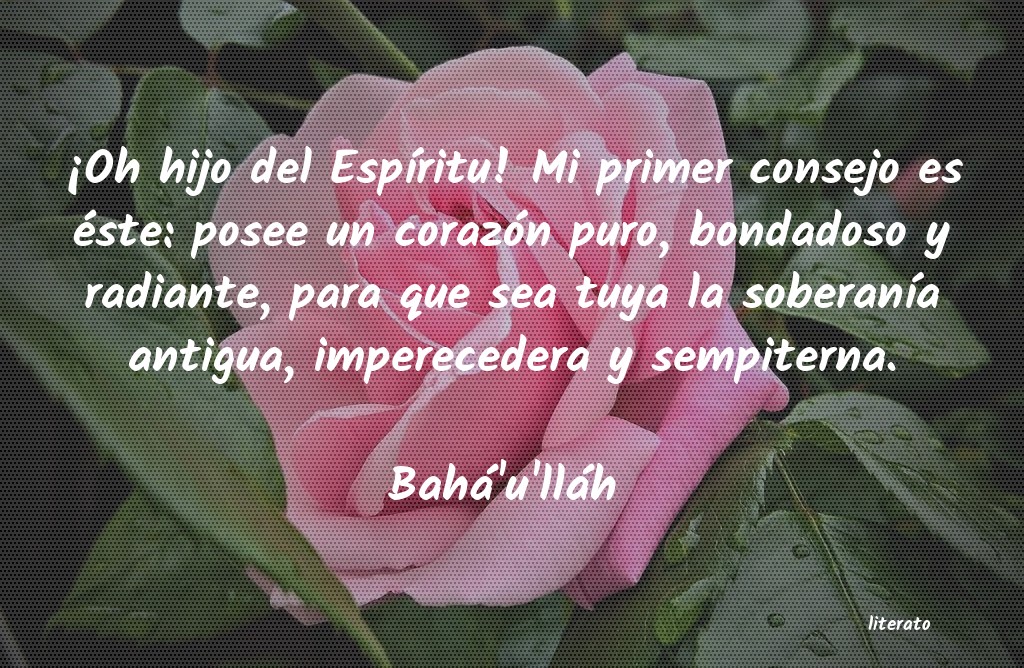 frases de BahÃ¡'u'llÃ¡h 