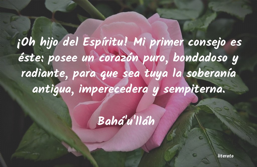 Frases de Bahá'u'lláh