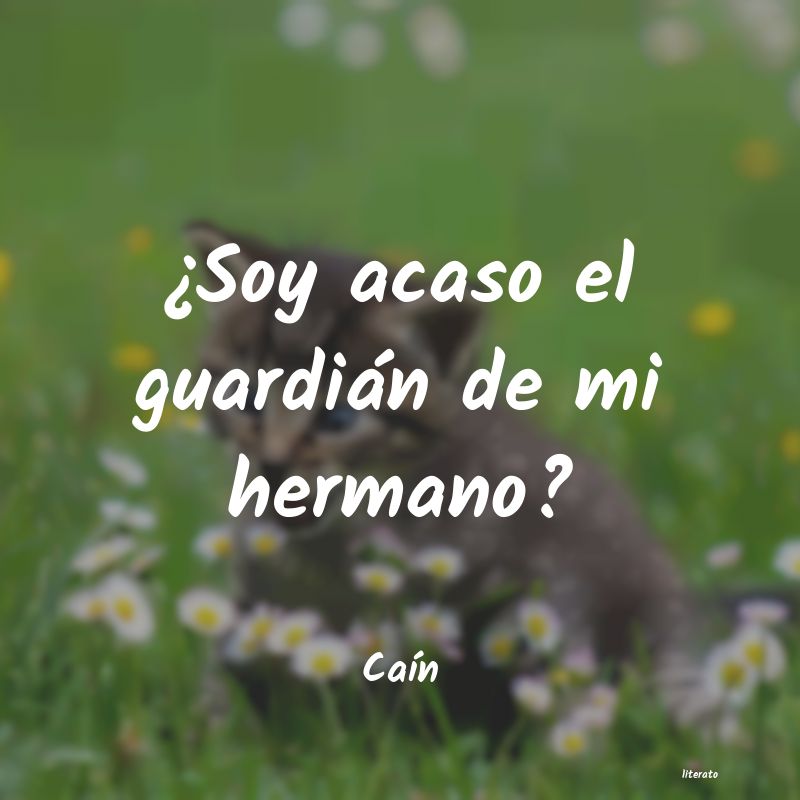 frases de CaÃn
