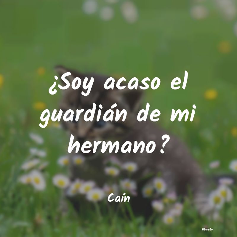 Frases de Caín