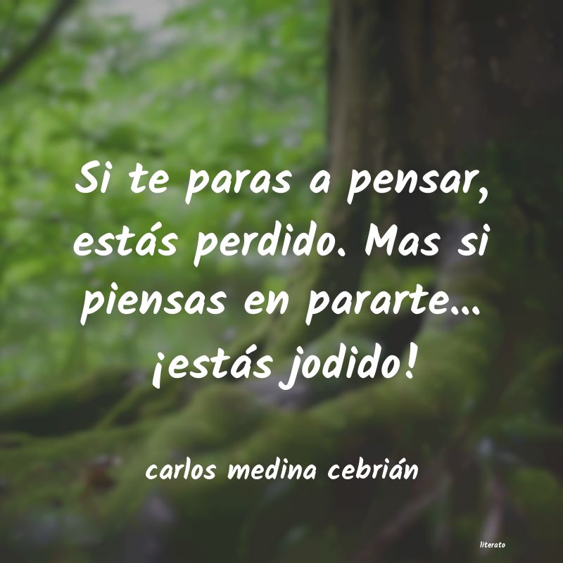 Frases de carlos medina cebrián