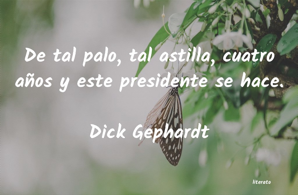Frases de Dick Gephardt