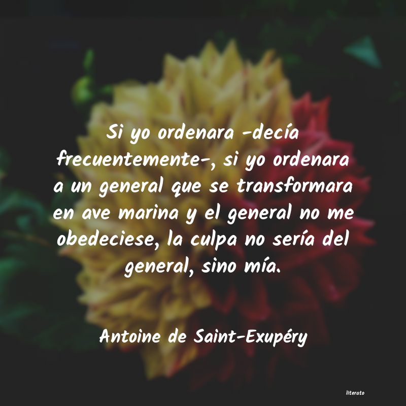 Frases de Antoine de Saint-Exupéry