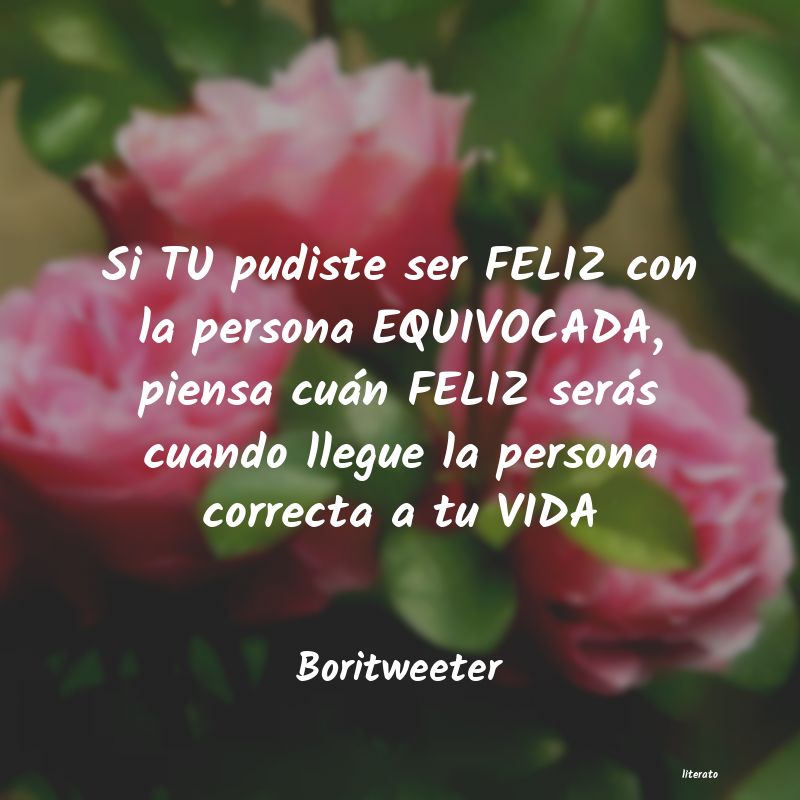 Frases de Boritweeter