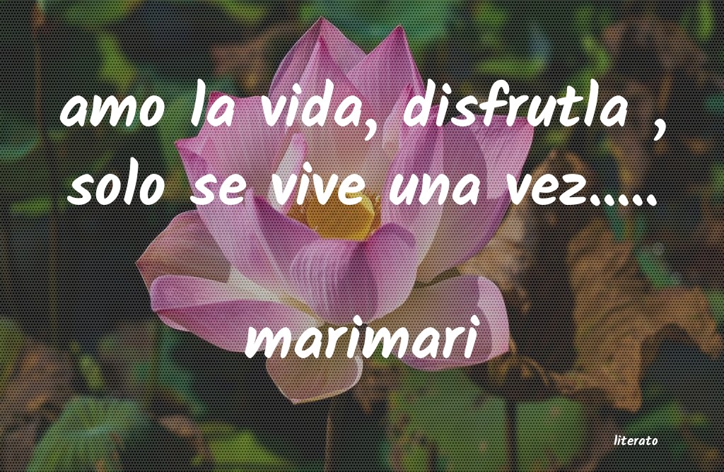 frases de marimari