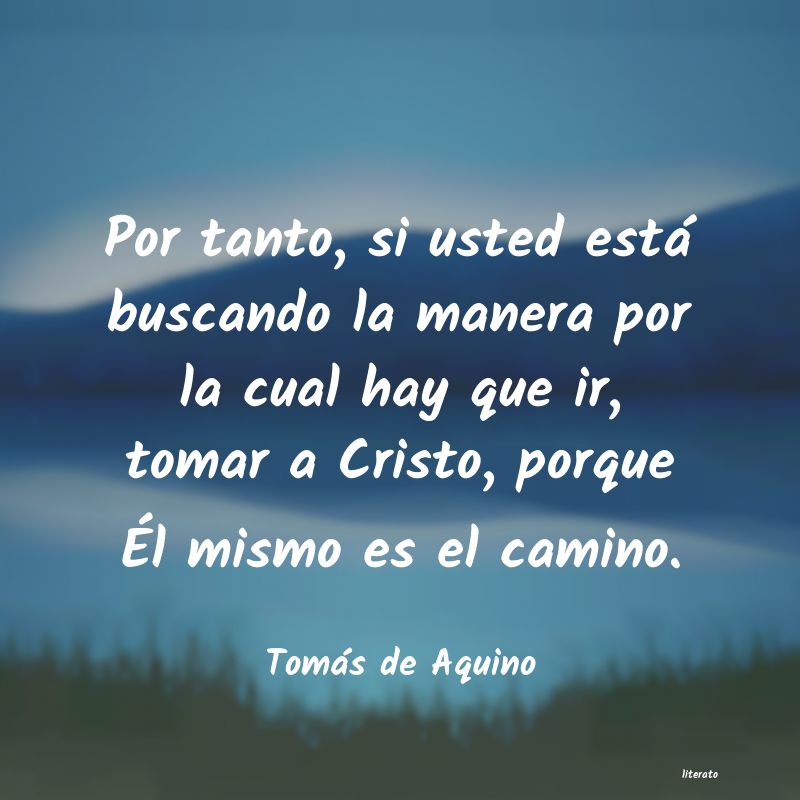 Frases de Tomás de Aquino