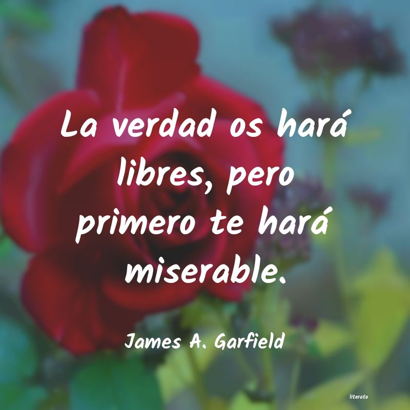 Frases de James A. Garfield