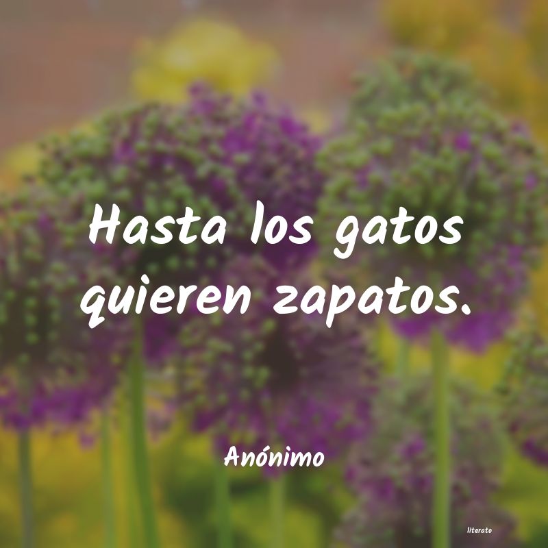 frases