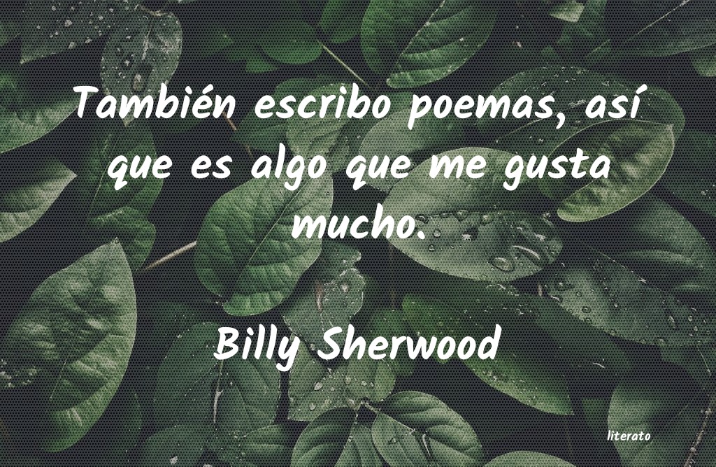 Frases de Billy Sherwood