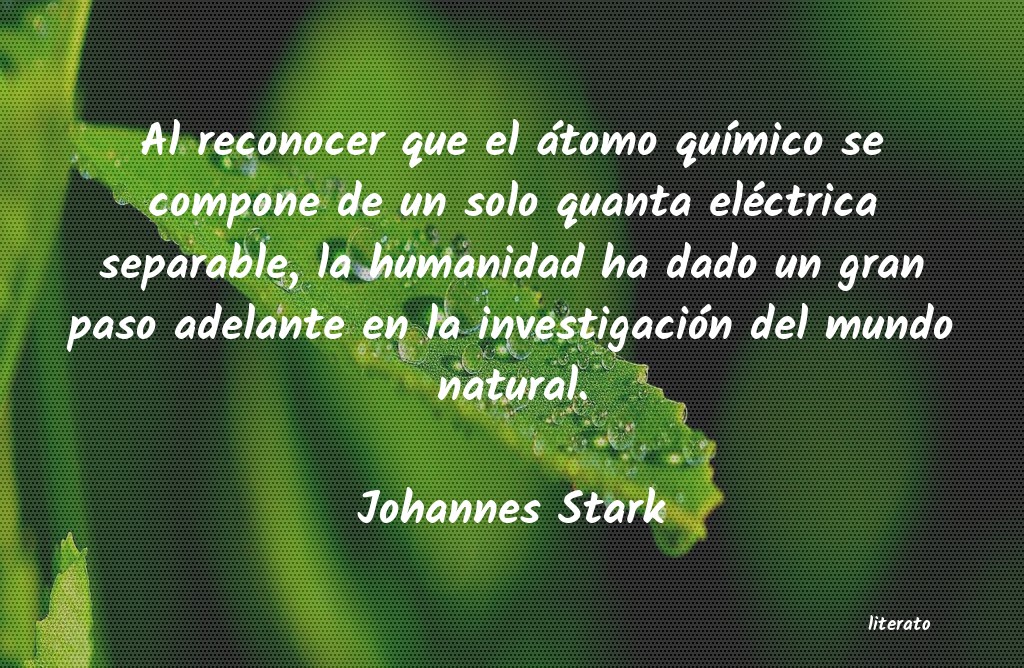 frases de Johannes Stark