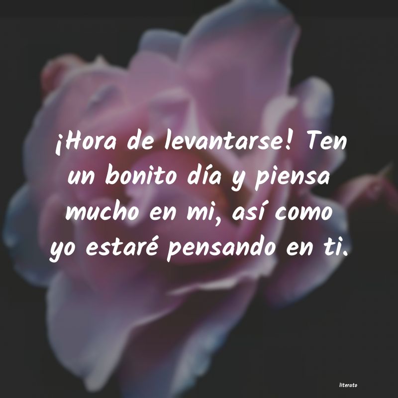 frases